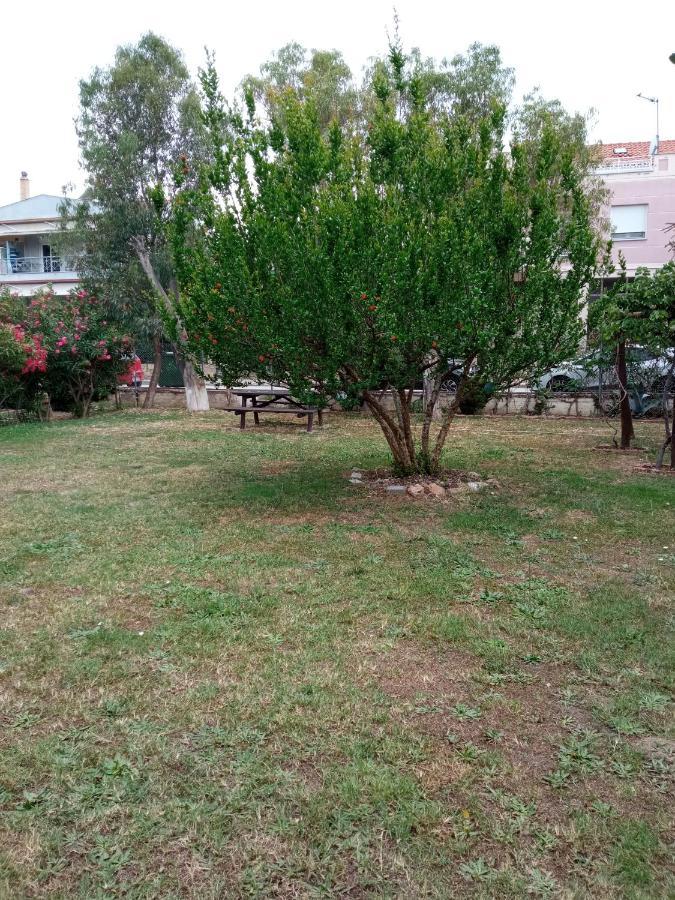 Апартаменты Sofia'S Garden Неа-Перамос Экстерьер фото